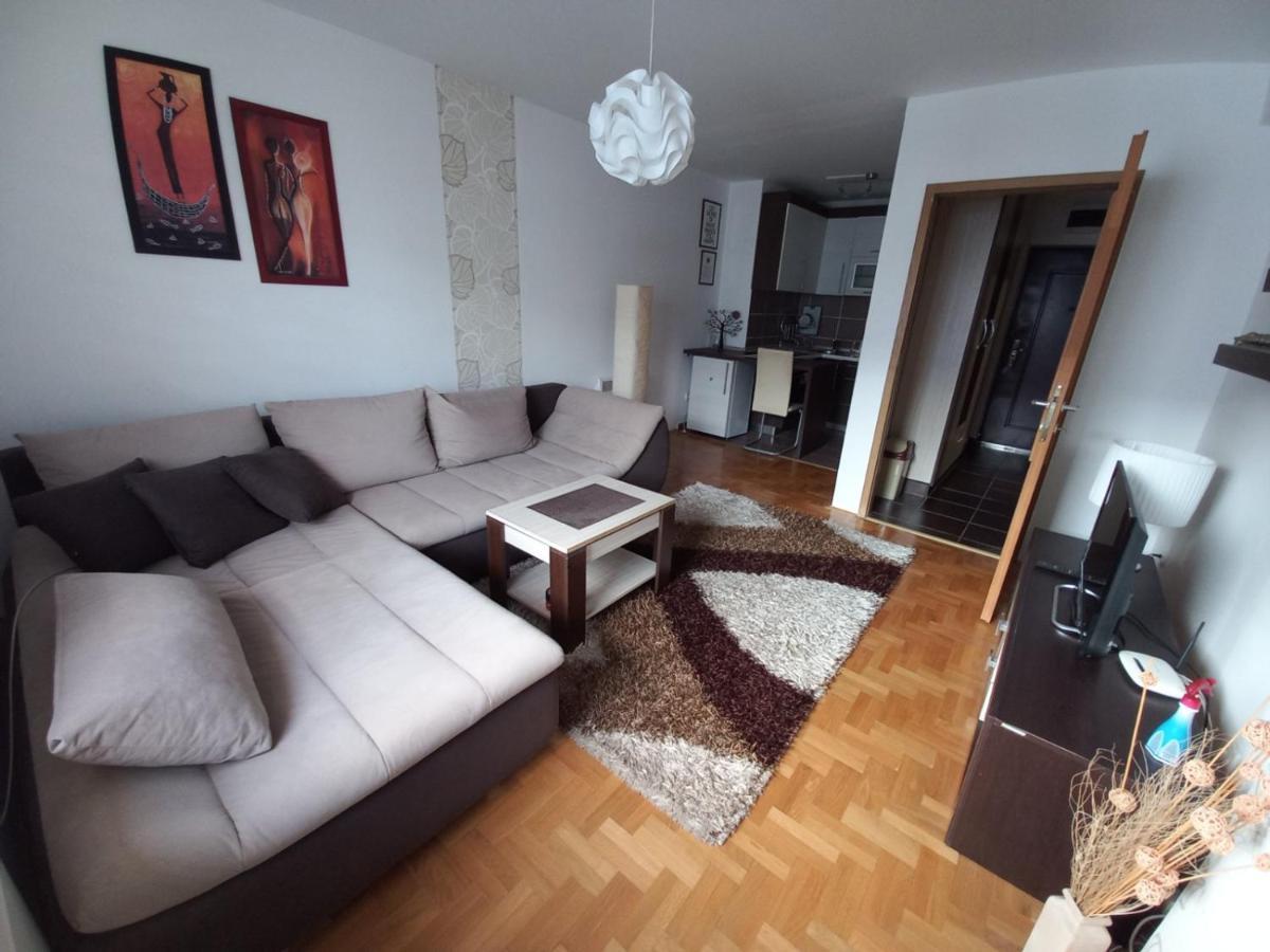 Apartman Pivasevic سراييفو المظهر الخارجي الصورة